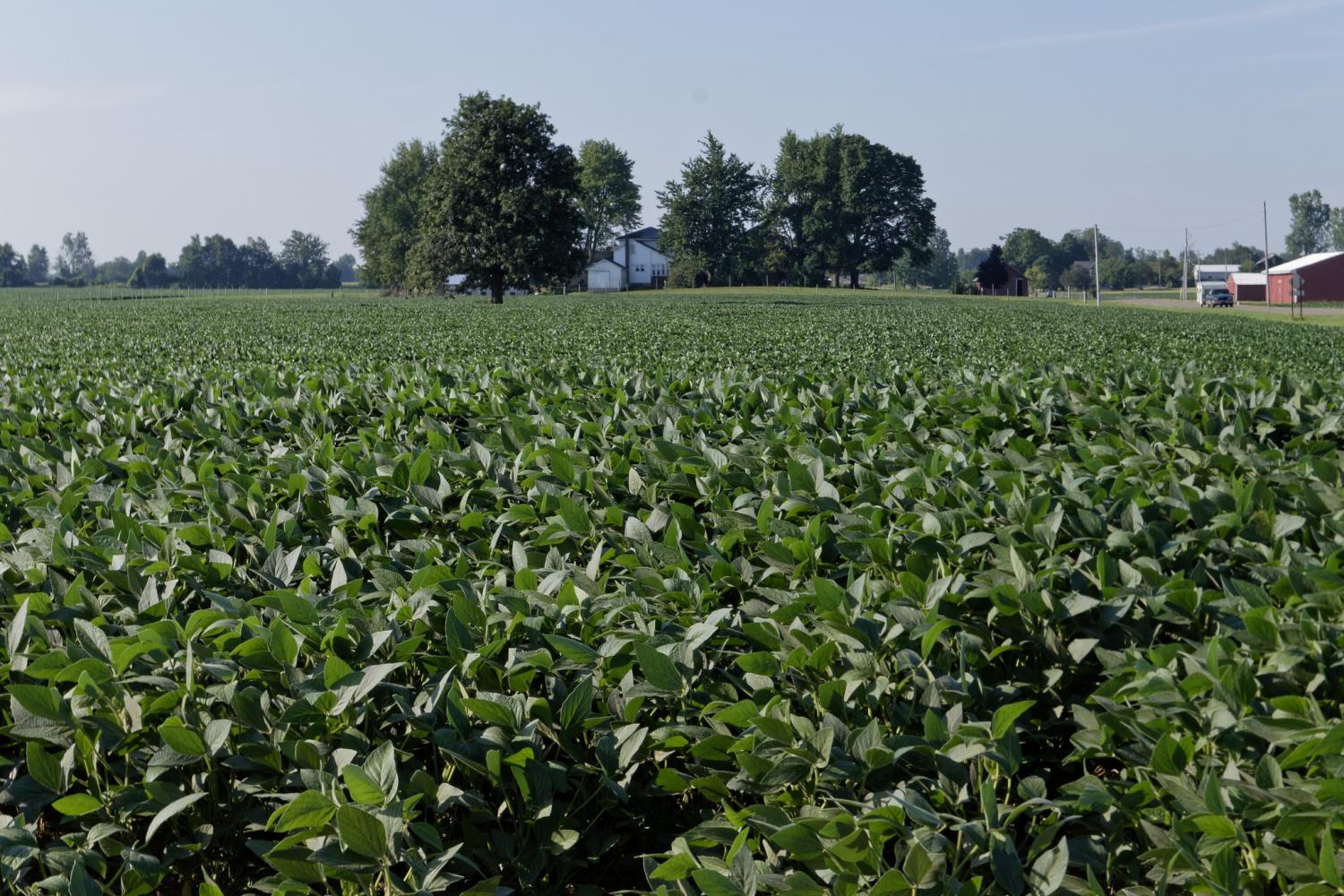 Novozymes' CEO Peder Holk Nielsen took some time recently to chat with TriplePundit about some of the company's latest developments in its quest to make agriculture and food production more efficient and sustainable.